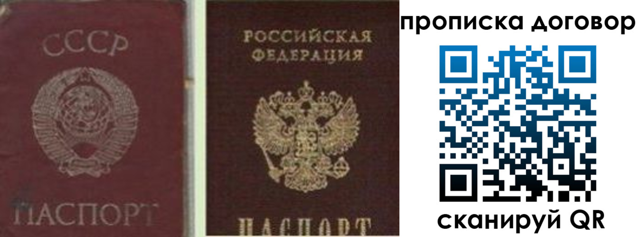 прописка гарантия в Суздали